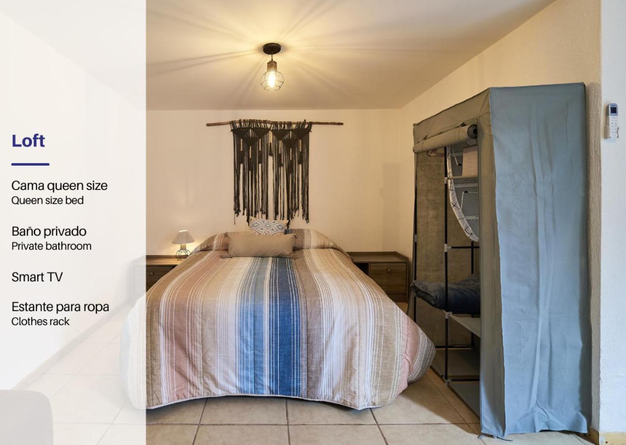 Cozy Studio In Roma Norte مدينة مكسيكو المظهر الخارجي الصورة
